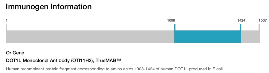 DOT1L Monoclonal Antibody (OTI11H2), TrueMAB™