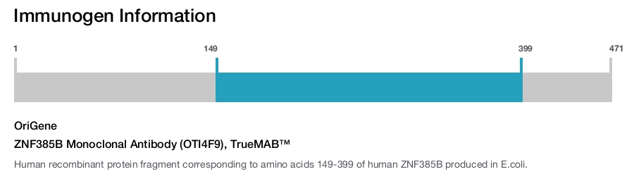 ZNF385B Monoclonal Antibody (OTI4F9), TrueMAB&trade;