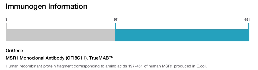 MSR1 Monoclonal Antibody (OTI8C11), TrueMAB&trade;