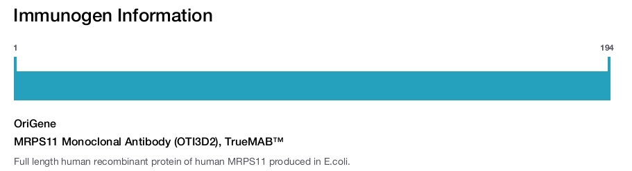 MRPS11 Monoclonal Antibody (OTI3D2), TrueMAB&trade;