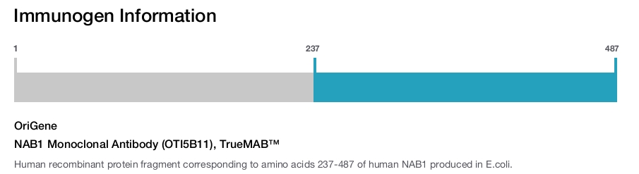 NAB1 Monoclonal Antibody (OTI5B11), TrueMAB&trade;