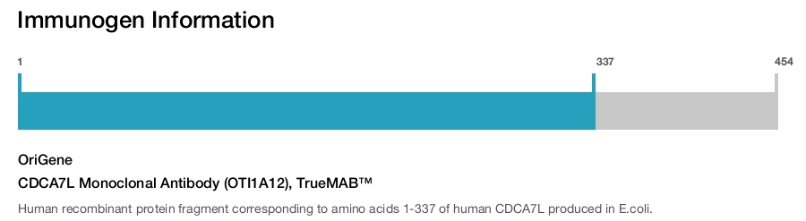 CDCA7L Monoclonal Antibody (OTI1A12), TrueMAB&trade;