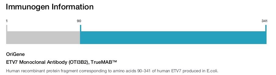 ETV7 Monoclonal Antibody (OTI3B2), TrueMAB&trade;