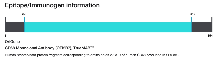 CD68 Monoclonal Antibody (OTI2B7), TrueMAB&trade;