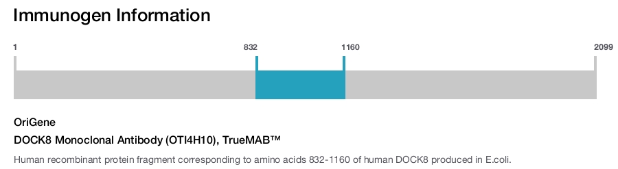 DOCK8 Monoclonal Antibody (OTI4H10), TrueMAB&trade;