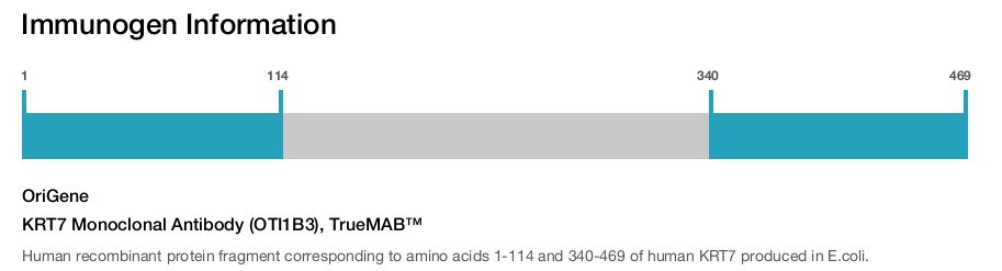 KRT7 Monoclonal Antibody (OTI1B3), TrueMAB&trade;