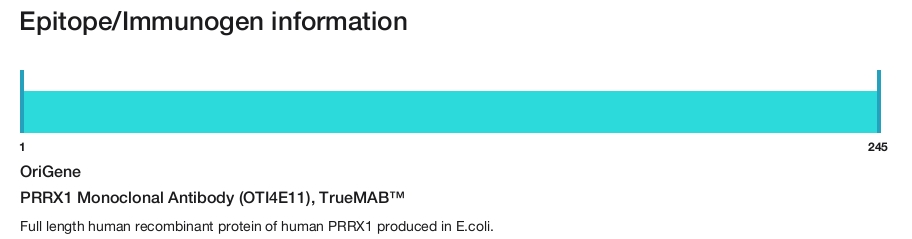 PRRX1 Monoclonal Antibody (OTI4E11), TrueMAB&trade;