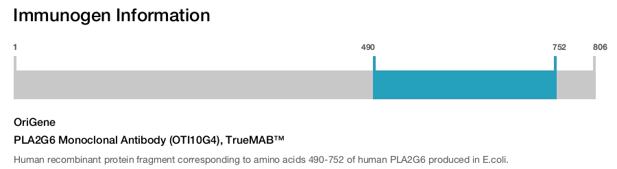 PLA2G6 Monoclonal Antibody (OTI10G4), TrueMAB&trade;