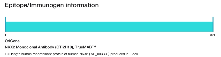 NKX2 Monoclonal Antibody (OTI2H10), TrueMAB&trade;