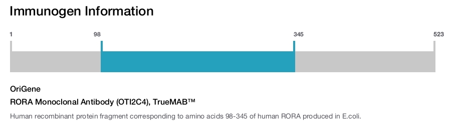RORA Monoclonal Antibody (OTI2C4), TrueMAB&trade;