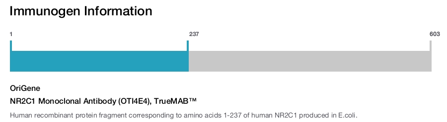 NR2C1 Monoclonal Antibody (OTI4E4), TrueMAB&trade;