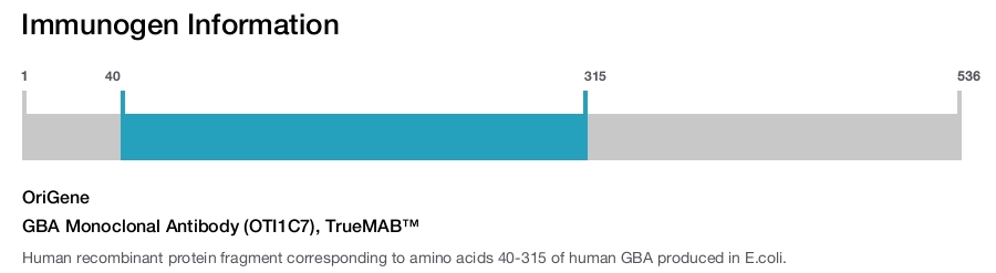 GBA Monoclonal Antibody (OTI1C7), TrueMAB&trade;