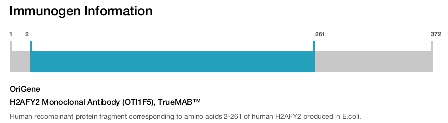 H2AFY2 Monoclonal Antibody (OTI1F5), TrueMAB&trade;