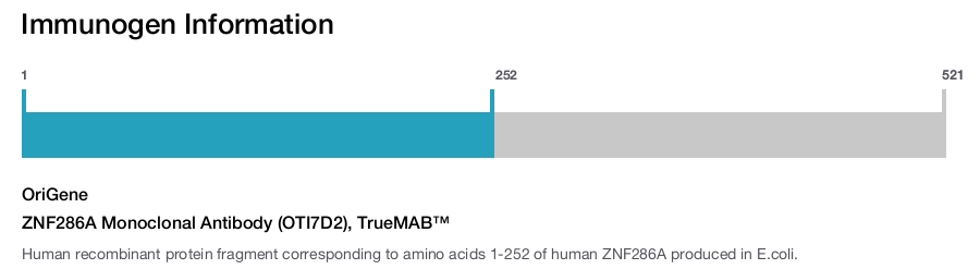 ZNF286A Monoclonal Antibody (OTI7D2), TrueMAB&trade;
