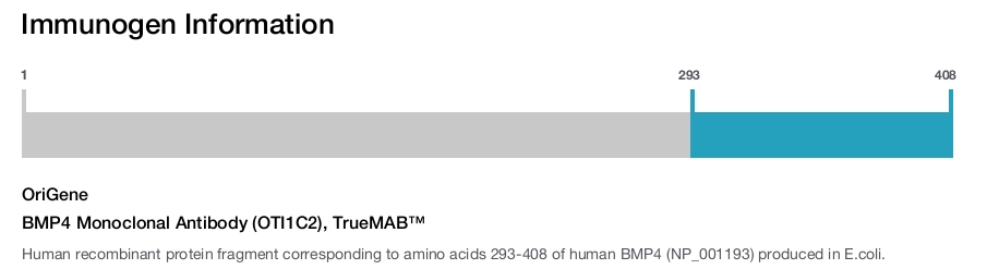 BMP4 Monoclonal Antibody (OTI1C2), TrueMAB&trade;