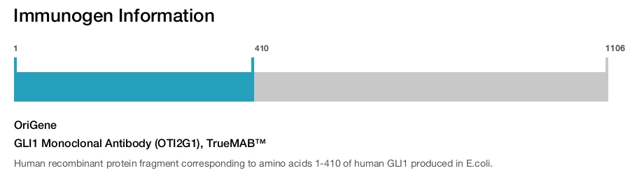 GLI1 Monoclonal Antibody (OTI2G1), TrueMAB&trade;