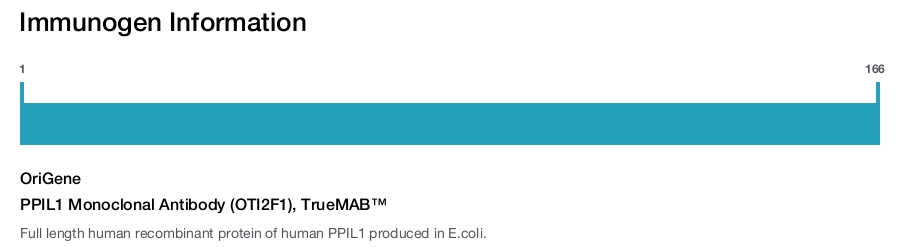 PPIL1 Monoclonal Antibody (OTI2F1), TrueMAB&trade;