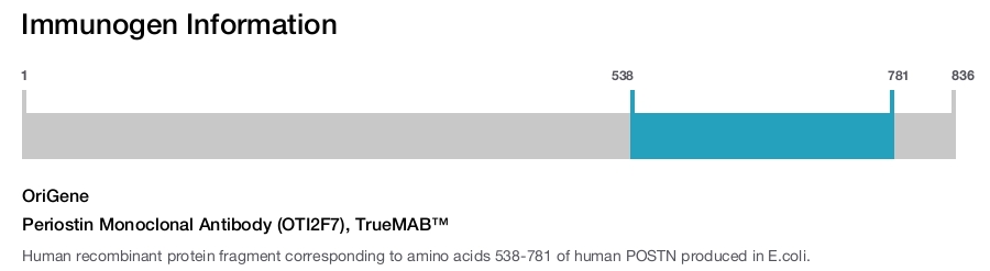 Periostin Monoclonal Antibody (OTI2F7), TrueMAB&trade;