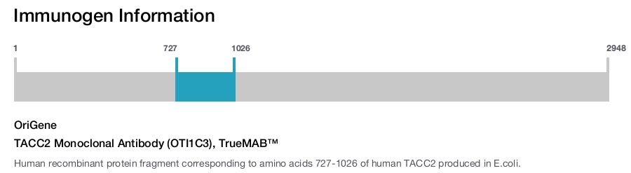 TACC2 Monoclonal Antibody (OTI1C3), TrueMAB&trade;