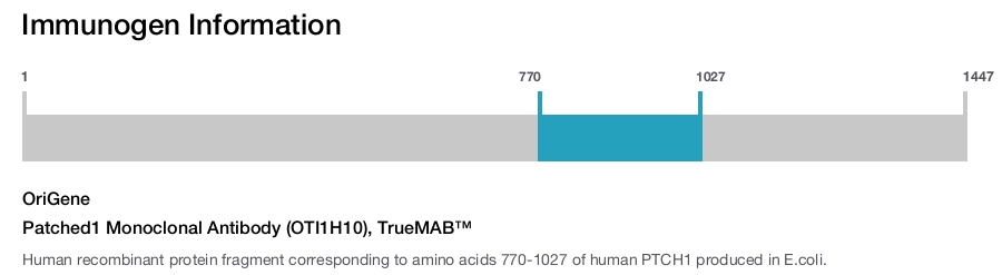 Patched1 Monoclonal Antibody (OTI1H10), TrueMAB&trade;