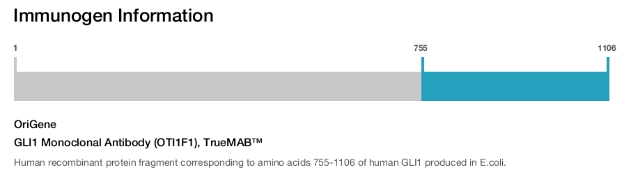 GLI1 Monoclonal Antibody (OTI1F1), TrueMAB&trade;