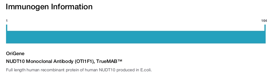 NUDT10 Monoclonal Antibody (OTI1F1), TrueMAB&trade;