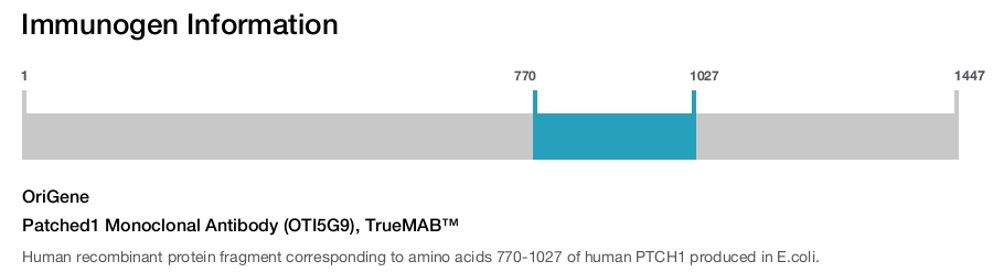 Patched1 Monoclonal Antibody (OTI5G9), TrueMAB&trade;