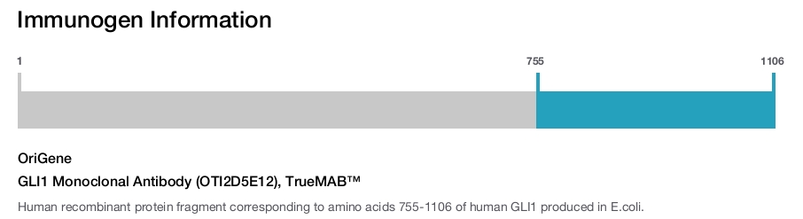 GLI1 Monoclonal Antibody (OTI2D5E12), TrueMAB&trade;