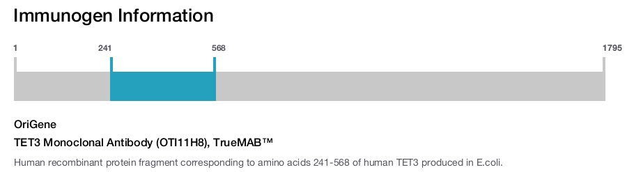 TET3 Monoclonal Antibody (OTI11H8), TrueMAB&trade;