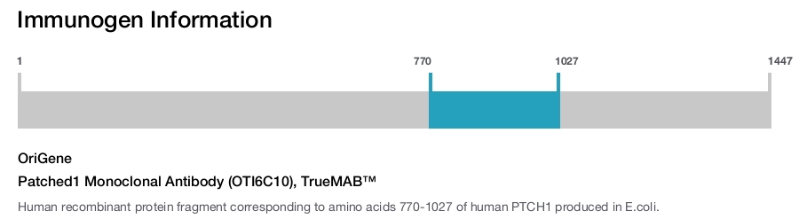 Patched1 Monoclonal Antibody (OTI6C10), TrueMAB&trade;