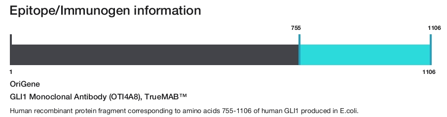 GLI1 Monoclonal Antibody (OTI4A8), TrueMAB&trade;