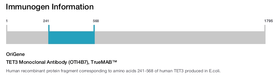 TET3 Monoclonal Antibody (OTI4B7), TrueMAB&trade;