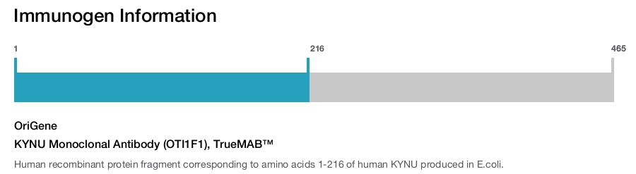 KYNU Monoclonal Antibody (OTI1F1), TrueMAB&trade;