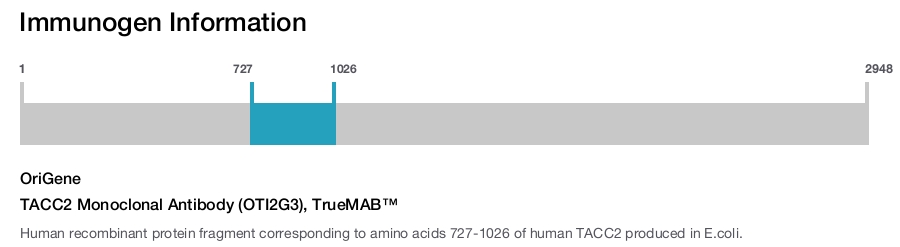 TACC2 Monoclonal Antibody (OTI2G3), TrueMAB&trade;