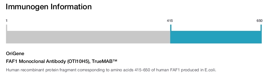 FAF1 Monoclonal Antibody (OTI10H5), TrueMAB&trade;