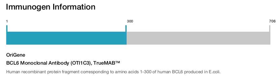 BCL6 Monoclonal Antibody (OTI1C3), TrueMAB&trade;