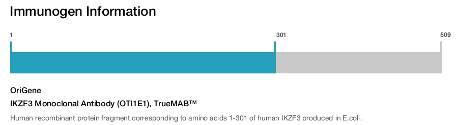 IKZF3 Monoclonal Antibody (OTI1E1), TrueMAB&trade;
