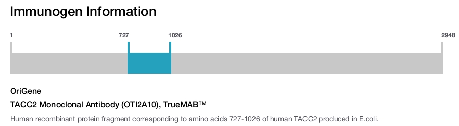 TACC2 Monoclonal Antibody (OTI2A10), TrueMAB&trade;