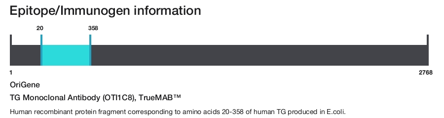 TG Monoclonal Antibody (OTI1C8), TrueMAB&trade;