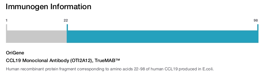CCL19 Monoclonal Antibody (OTI2A12), TrueMAB&trade;