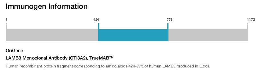 LAMB3 Monoclonal Antibody (OTI3A2), TrueMAB&trade;