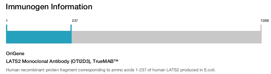 LATS2 Monoclonal Antibody (OTI2D3), TrueMAB&trade;