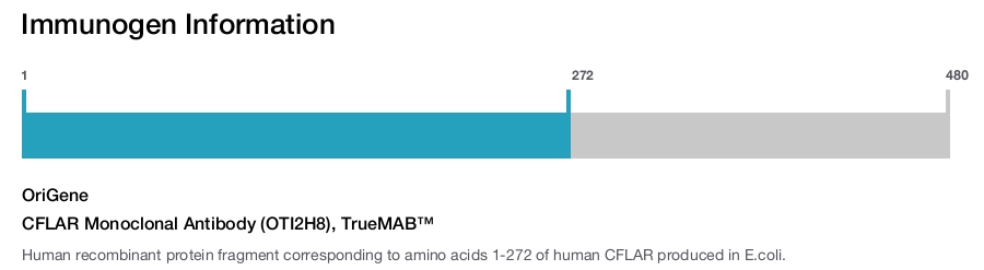 CFLAR Monoclonal Antibody (OTI2H8), TrueMAB&trade;