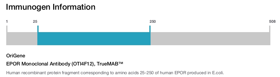 EPOR Monoclonal Antibody (OTI4F12), TrueMAB&trade;