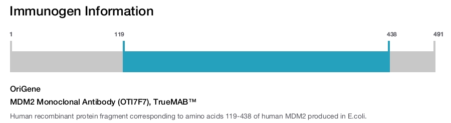 MDM2 Monoclonal Antibody (OTI7F7), TrueMAB&trade;