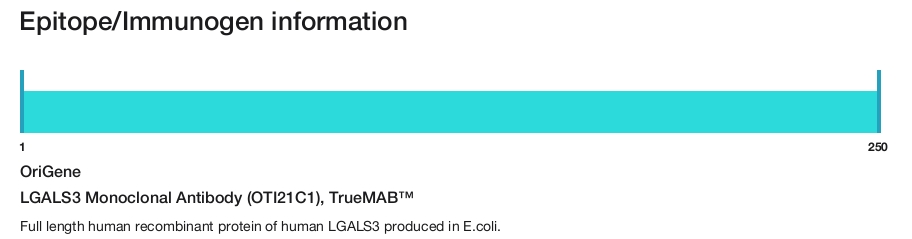 LGALS3 Monoclonal Antibody (OTI21C1), TrueMAB&trade;