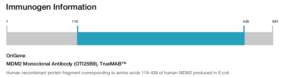 MDM2 Monoclonal Antibody (OTI25B9), TrueMAB&trade;