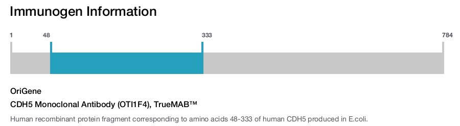 CDH5 Monoclonal Antibody (OTI1F4), TrueMAB&trade;