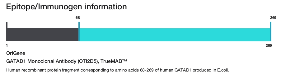 GATAD1 Monoclonal Antibody (OTI2D5), TrueMAB&trade;