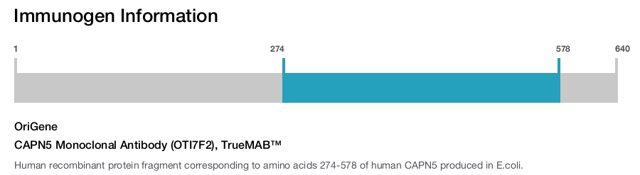 CAPN5 Monoclonal Antibody (OTI7F2), TrueMAB&trade;